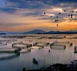 攀枝花伴游中国网景点丰富(旅游网介绍)