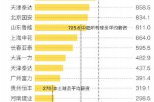 攀枝花关于伴游小丽中国足球的信息