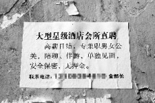 攀枝花珠海伴游雇用网(珠海游览社雇用信息)