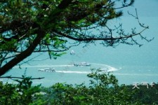 攀枝花中国伴游网与你分享旅游的点滴(中国伴游网与你分享旅游的点滴是什么)