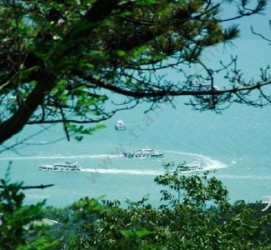 攀枝花中国伴游网与你分享旅游的点滴(中国伴游网与你分享旅游的点滴是什么)