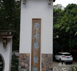 攀枝花关于伴游中国伴游你们伴得是什么游的信息