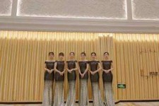 攀枝花杭州模特礼节兼职群(杭州兼职商务模特经纪人微信)
