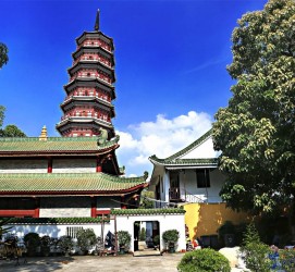 攀枝花广州自由行(广州 自由行)