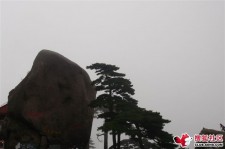 攀枝花上海伴游私家陪游雇用女模(上海伴游私家陪游雇用女模特)