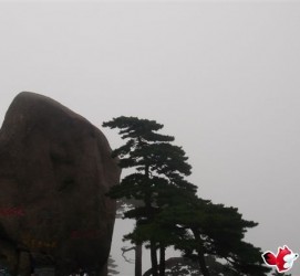 攀枝花上海伴游私家陪游雇用女模(上海伴游私家陪游雇用女模特)