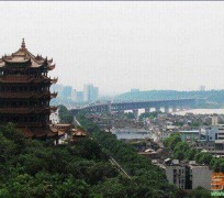 攀枝花武汉游玩攻略(武汉游玩攻略ppt)