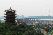 攀枝花武汉游玩攻略(武汉游玩攻略ppt)