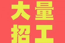 攀枝花三亚伴游雇用日结一万女dj的简单介绍