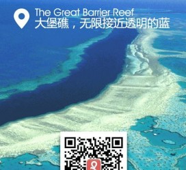 攀枝花中国250家旅行社结伴游新西兰(新西兰当地旅行社)