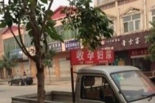 攀枝花上海伴游 用伴游造句大全(5