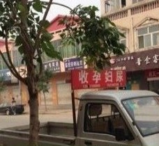 攀枝花上海伴游 用伴游造句大全(5