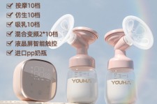 攀枝花奶模(奶模型)