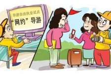 攀枝花伴游是什么