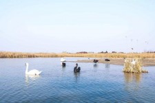 攀枝花南昌附近伴游小妹兼职(1534939978姐的微信德惠市)