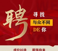 攀枝花商务伴游招聘 重庆星级酒店诚招司机服务员夜场保安