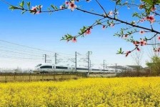 攀枝花高铁游(高铁游戏下载手机版)