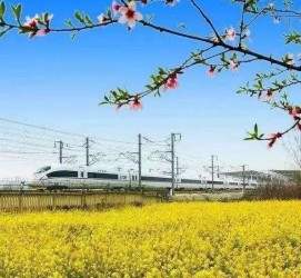 攀枝花高铁游(高铁游戏下载手机版)