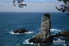 攀枝花旅游全攻略(上海旅游全攻略)