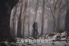 攀枝花上海私人伴游 上海伴游，上海兼职伴游安全吗