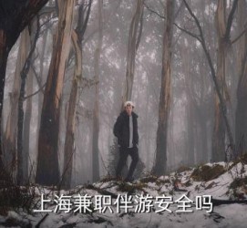 攀枝花上海私人伴游 上海伴游，上海兼职伴游安全吗
