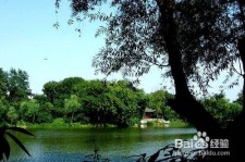 攀枝花西湖旅游攻略(上海到杭州西湖旅游攻略)