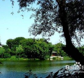 攀枝花西湖旅游攻略(上海到杭州西湖旅游攻略)