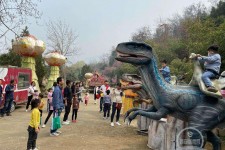 攀枝花中国伴游带你打卡网红南山竹海(南山竹海网上预约)