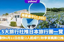 攀枝花旅游价格(旅游价格机制)