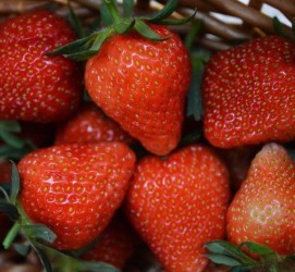 攀枝花深圳伴游外围高端雇用(深圳伴游雇用90万月薪)