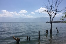 攀枝花洱海旅游攻略(洱海旅游攻略自由行)