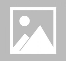 攀枝花全国男伴游雇用信息(哪里有雇用男士伴游的)