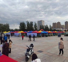 攀枝花通辽伴游雇用(哈尔滨伴游雇用)