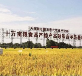 攀枝花关于成都商务伴游外围雇用的信息