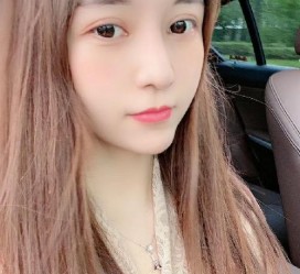攀枝花越南私家伴游平安吗(越南私家伴游平安吗几钱)