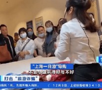 攀枝花上海私人伴游 看·法｜100元游上海？！“旅社”涉嫌诈骗被一窝端