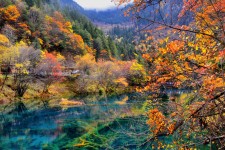 攀枝花四川旅游攻略(四川旅游攻略十五日游)