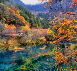 攀枝花四川旅游攻略(四川旅游攻略十五日游)