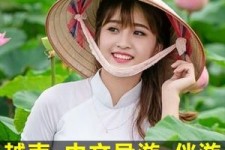 攀枝花日本关东伴游中国(日本关西旅行)