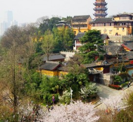 攀枝花南京周边游(南京周边游景点大全 自驾车旅游)