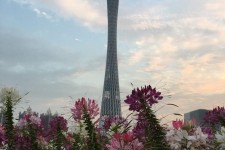 攀枝花广州旅游攻略(杭州到广州旅游攻略)
