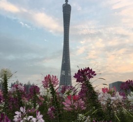 攀枝花广州旅游攻略(杭州到广州旅游攻略)