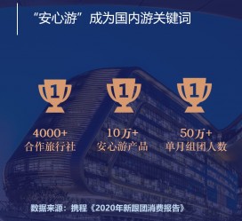 攀枝花上海私人伴游 ​ “小而美”的新时代：2020年国内新跟团消费报告