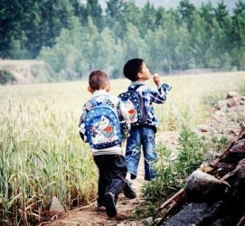 攀枝花河南一家四口结伴游中国2个月(河南适合一家四口旅游的地方)