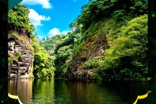 攀枝花旅游报价(旅行团旅游报价)