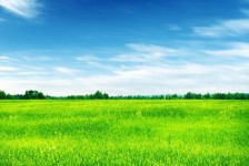 攀枝花上海伴游 上海模特伴游微信号的交友宣言