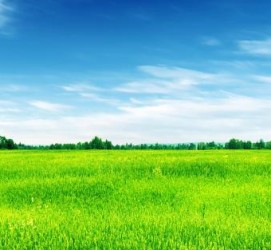 攀枝花上海伴游 上海模特伴游微信号的交友宣言