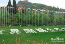 攀枝花昆明旅游攻略(昆明旅游攻略景点大全抚仙湖)