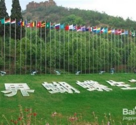 攀枝花昆明旅游攻略(昆明旅游攻略景点大全抚仙湖)