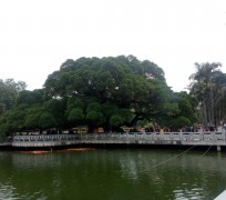 攀枝花福州旅游攻略(福州旅游攻略二日游)
